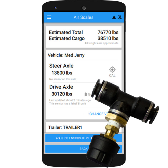 screenshot of BIT Web Portal